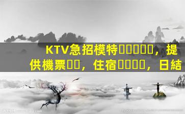 KTV急招模特，提供機票，住宿，日結